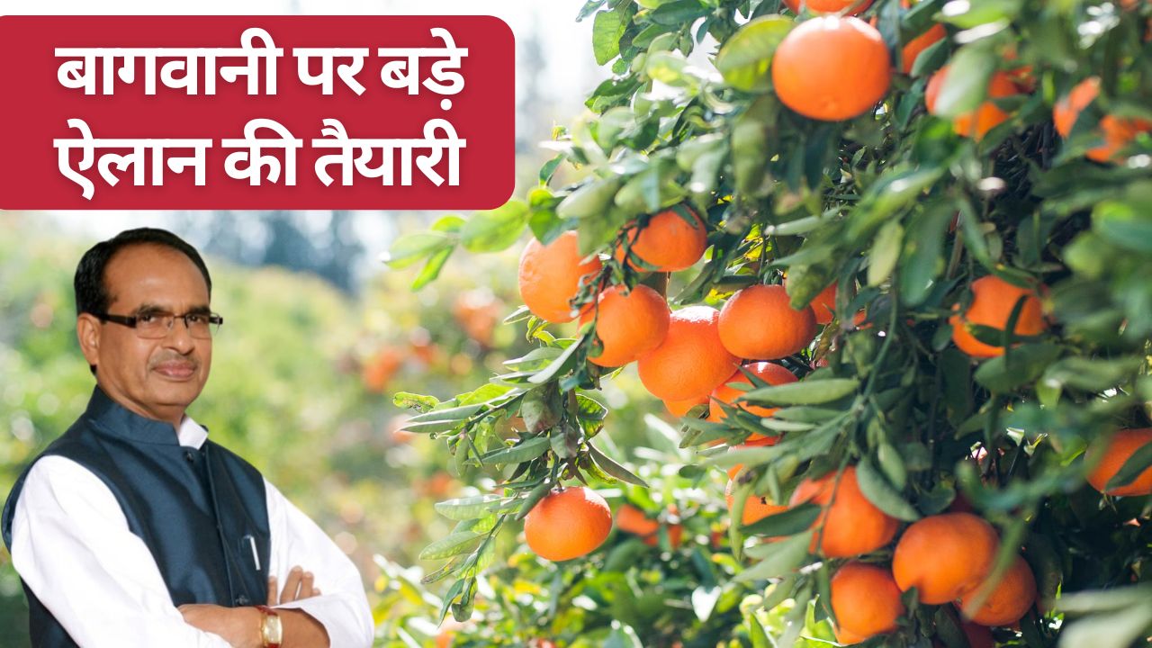 बागवानी निर्यात बढ़ाएगी सरकार, ‘फ्रूट होराइजन’ में कई बड़े ऐलान करेंगे कृषि मंत्री शिवराज सिंह!