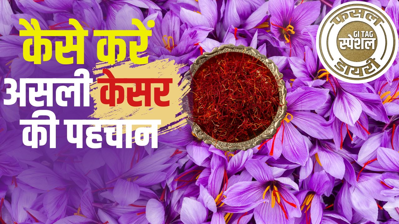 बनना है अमीर तो करें ‘लाल सोना’ की खेती,  600 रुपये प्रति ग्राम रेट.. पूरी दुनिया में है मांग
