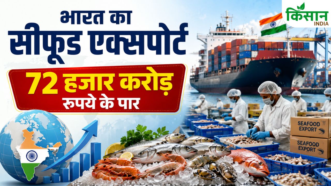 Seafood Export में भारत का बड़ा रिकॉर्ड, झींगा ने विदेशों में मचाया धमाल, 47,973 करोड़ कमाए
