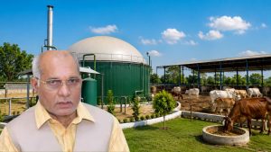 यूपी में पशुओं के लिए मुफ्त वैक्सीनेशन करने के निर्देश, बारिश से पहले हर पशु को लगेगा टीका