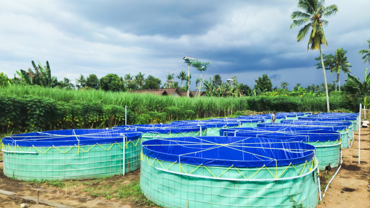 50 Acre Hi Tech Aqua Park 160 Women To Earn Crores From Fish Farming