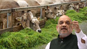 63 फीसदी बढ़ा दूध उत्पादन, अब श्वेत क्रांति 2.0 की बारी! किसानों के लिए खुलेंगे कमाई के नए रास्ते