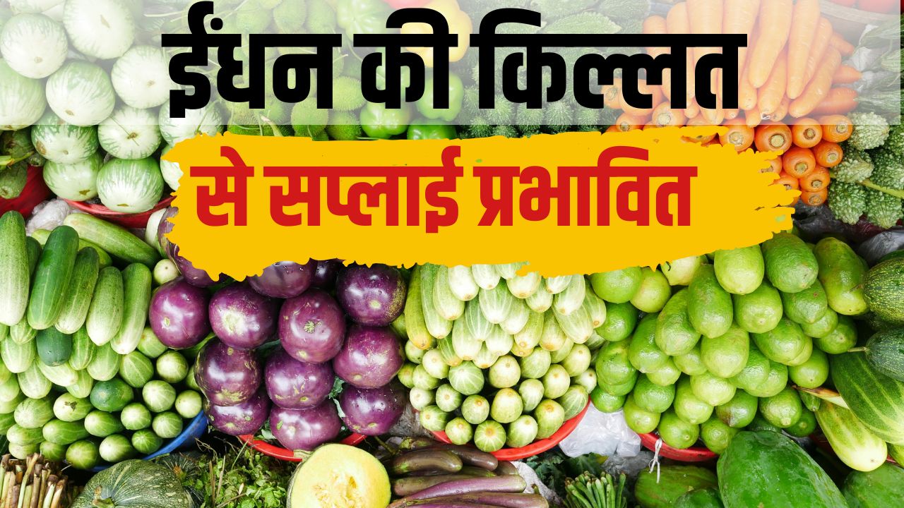 सब्जियों के रेट में गिरावट, 24 घंटे  में 52 फीसदी कम हो गई कीमत.. व्यापारियों को नुकसान