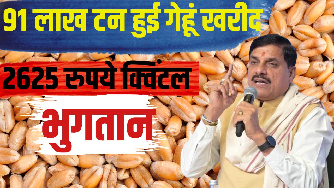 किसानों को बड़ी राहत.. MP में अब 28 मई तक होगी गेहूं की खरीद, CM ने खुद किया ऐलान