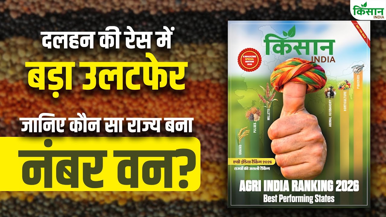 किस राज्य की दाल है देश में नंबर वन? टॉप-5 राज्यों की पूरी लिस्ट Top 5 States Ranking in Pulses