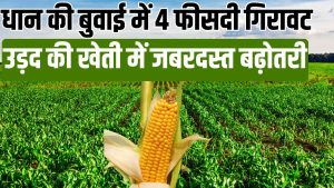 86 लाख हेक्टेयर के पार पहुंचा जायद का रकबा, मक्का में 18 फीसदी बढ़ोतरी.. जानें दलहन-तिलहन का हाल 86 लाख हेक्टेयर के पार पहुंचा जायद का रकबा, मक्का में 18 फीसदी बढ़ोतरी.. जानें दलहन-तिलहन का हाल