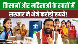 दीन दयाल लाडो लक्ष्मी योजना से किसानों को बड़ी राहत, गैस सब्सिडी सीधे खातों में पहुंची दीन दयाल लाडो लक्ष्मी योजना से किसानों को बड़ी राहत, गैस सब्सिडी सीधे खातों में पहुंची
