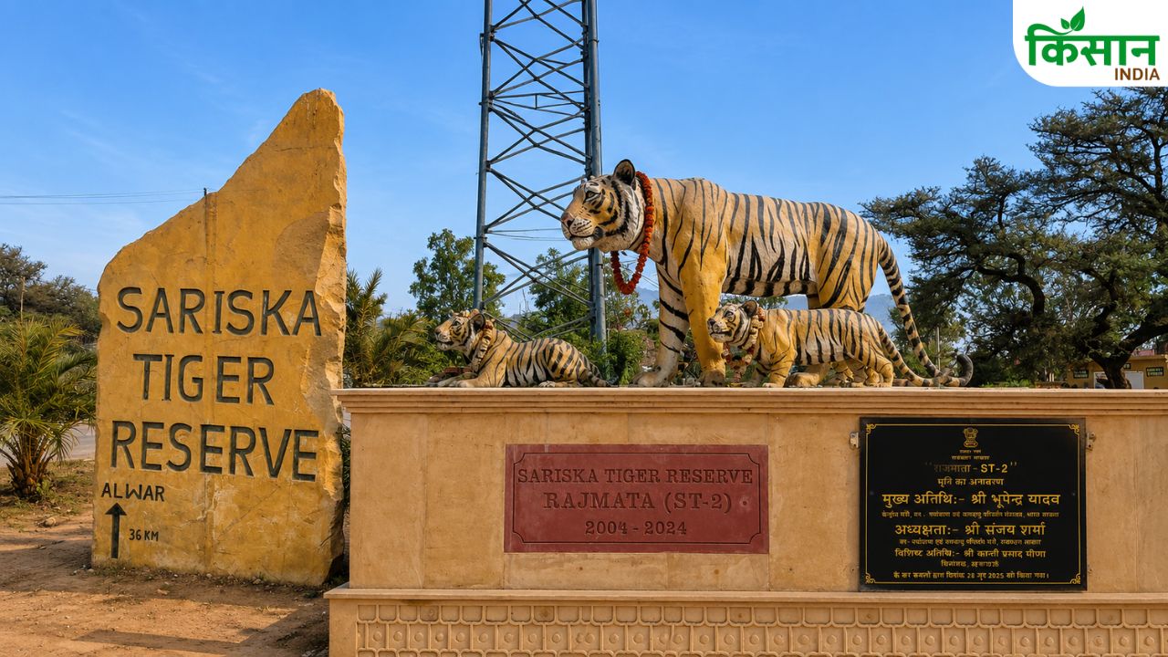 सरिस्का में बनेगा देश का पहला हाईटेक नेचर सेंटर, वन्यजीव संरक्षण को मिलेगी नई ताकत और आधुनिक तकनीक