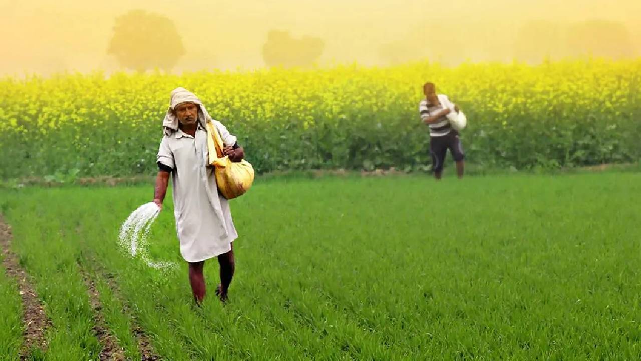 जैविक खेती अपनाने वाले किसानों को मिलेगा बड़ा फायदा, सरकार देगी हर साल 10 हजार रुपये प्रति एकड़