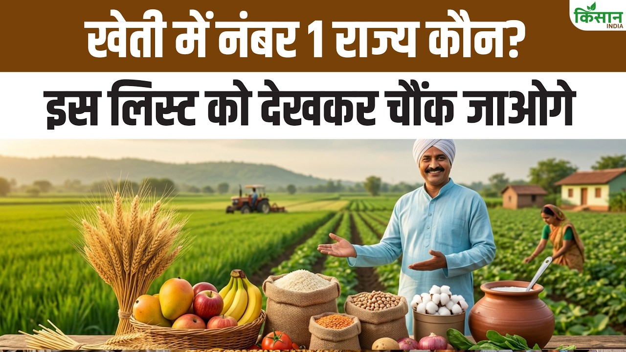 लाखों की नौकरी छोड़ खेती में लौट रहे युवा, आधुनिक खेती ने बदली गांव और किसानों की पूरी तस्वीर