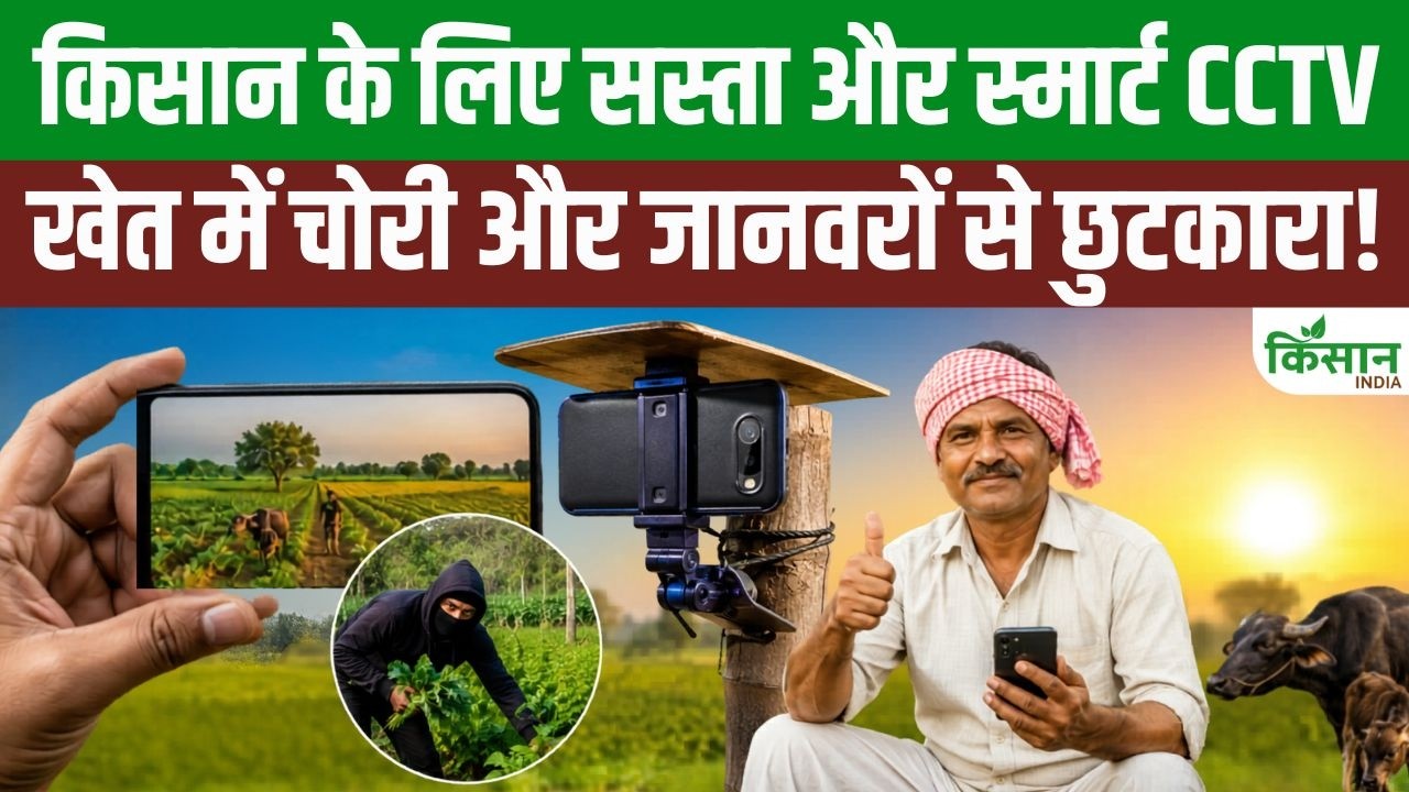 खेतों की रखवाली अब आसान, किसानों के लिए आया सस्ता और स्मार्ट CCTV वाला देसी जुगाड़ सिस्टम