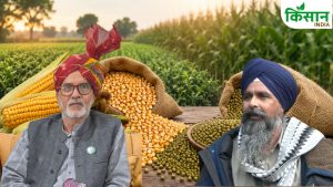 MSP बढ़ोतरी को किसानों ने बताया धोखा, बढ़ती लागत के बीच सरकार पर उठे सवाल MSP बढ़ोतरी को किसानों ने बताया धोखा, बढ़ती लागत के बीच सरकार पर उठे सवाल