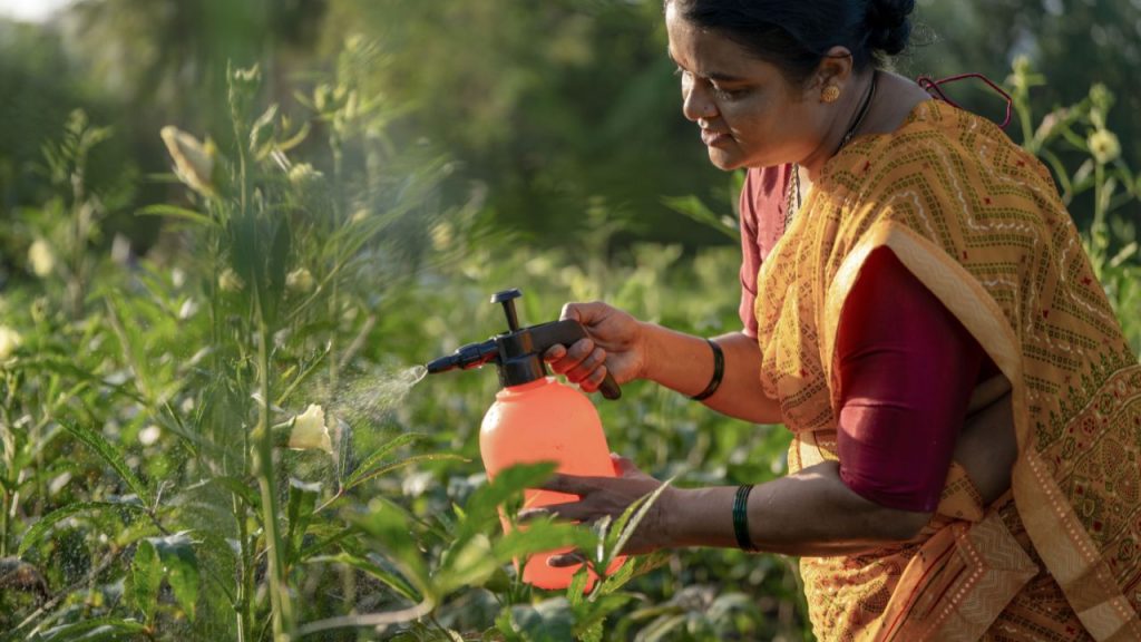 फसलों पर हमेशा अनुशंसित मात्रा में ही कीटनाशक या फफूंदनाशक का इस्तेमाल करना चाहिए. ज्यादा मात्रा फसल और मिट्टी दोनों को नुकसान पहुंचा सकती है, जबकि कम मात्रा से कीट और रोग पूरी तरह नियंत्रित नहीं हो पाते, जिससे दोबारा स्प्रे करना पड़ता है और खर्च बढ़ जाता है.