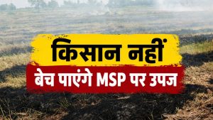 पराली मामले में किसानों पर दर्ज FIR को वापस लेगी सरकार ? किसान नेता CM के सामने रखेंगे प्रस्ताव पराली मामले में किसानों पर दर्ज FIR को वापस लेगी सरकार ? किसान नेता CM के सामने रखेंगे प्रस्ताव