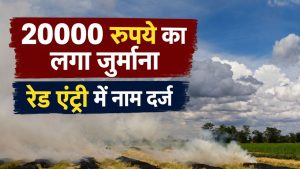 पराली केस: 6 के खिलाफ सख्त कार्रवाई, अब दो साल तक MSP पर नहीं बेच पाएंगे उपज पराली केस: 6 के खिलाफ सख्त कार्रवाई, अब दो साल तक MSP पर नहीं बेच पाएंगे उपज