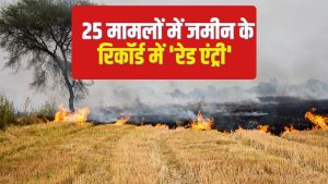 पंजाब- हरियाणा में पराली जलाने की घटना बढ़ी, 72 घंटे में आए 1973 मामले.. कार्रवाई भी तेज पंजाब- हरियाणा में पराली जलाने की घटना बढ़ी, 72 घंटे में आए 1973 मामले.. कार्रवाई भी तेज