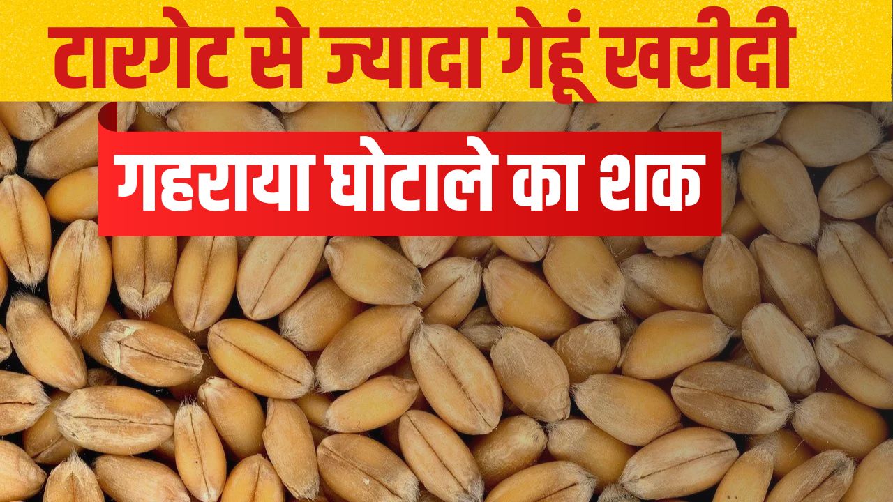 गेहूं-धान घोटाले की गूंज दिल्ली तक पहुंची! वैज्ञानिक ने PM मोदी को लिखा पत्र, लगाए कई आरोप