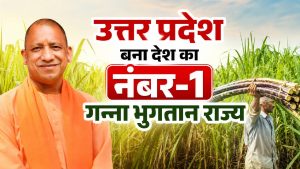गन्ना किसानों के लिए वरदान बनी योगी सरकार, 3.22 लाख करोड़ रुपये के भुगतान से बना नया रिकॉर्ड