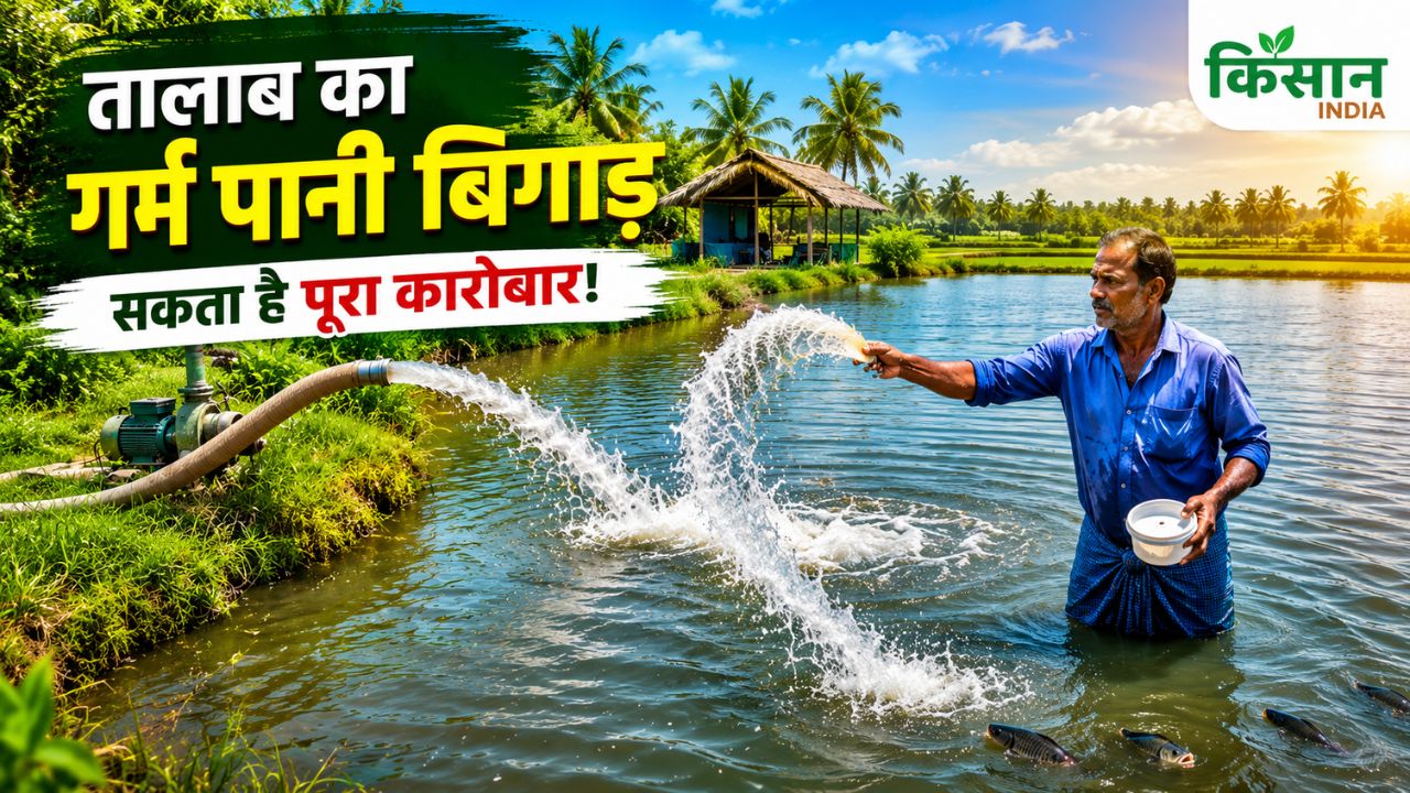 गर्मी में मछलियों के ग्रोथ पर अब नहीं लगेगा ब्रेक… नमक, ठंडे पानी और ये सफेद चीज कराएगा करोड़ों की कमाई!