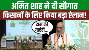 अमित शाह की बड़ी पहल! NAFEX से किसान सीधे बेचेंगे उपज, बेहतर दाम और ज्यादा मुनाफा मिलेगा