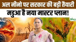 El Nino और कमजोर मानसून की चिंता के बीच मडुआ की खेती किसानों के लिए बन सकती है कमाई का सहारा El Nino और कमजोर मानसून की चिंता के बीच मडुआ की खेती किसानों के लिए बन सकती है कमाई का सहारा