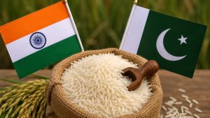 पाकिस्तान के ‘सस्ते चावल’ वाली नीति से भारतीय बासमती को चुनौती, कीमतों पर बढ़ सकता है दबाव