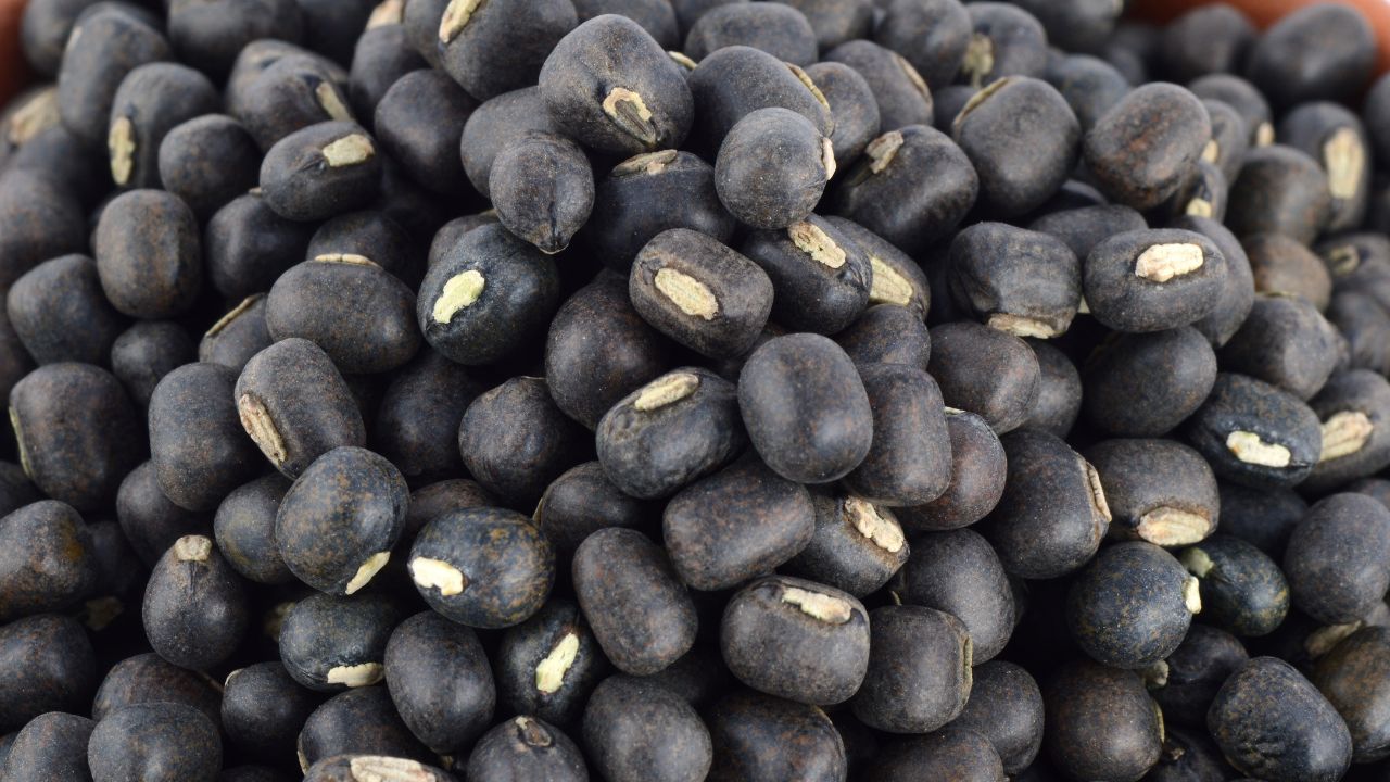 Urad Sowing Falls By 40 Percent Pulse Imports Increase Inflation Will Also Increase