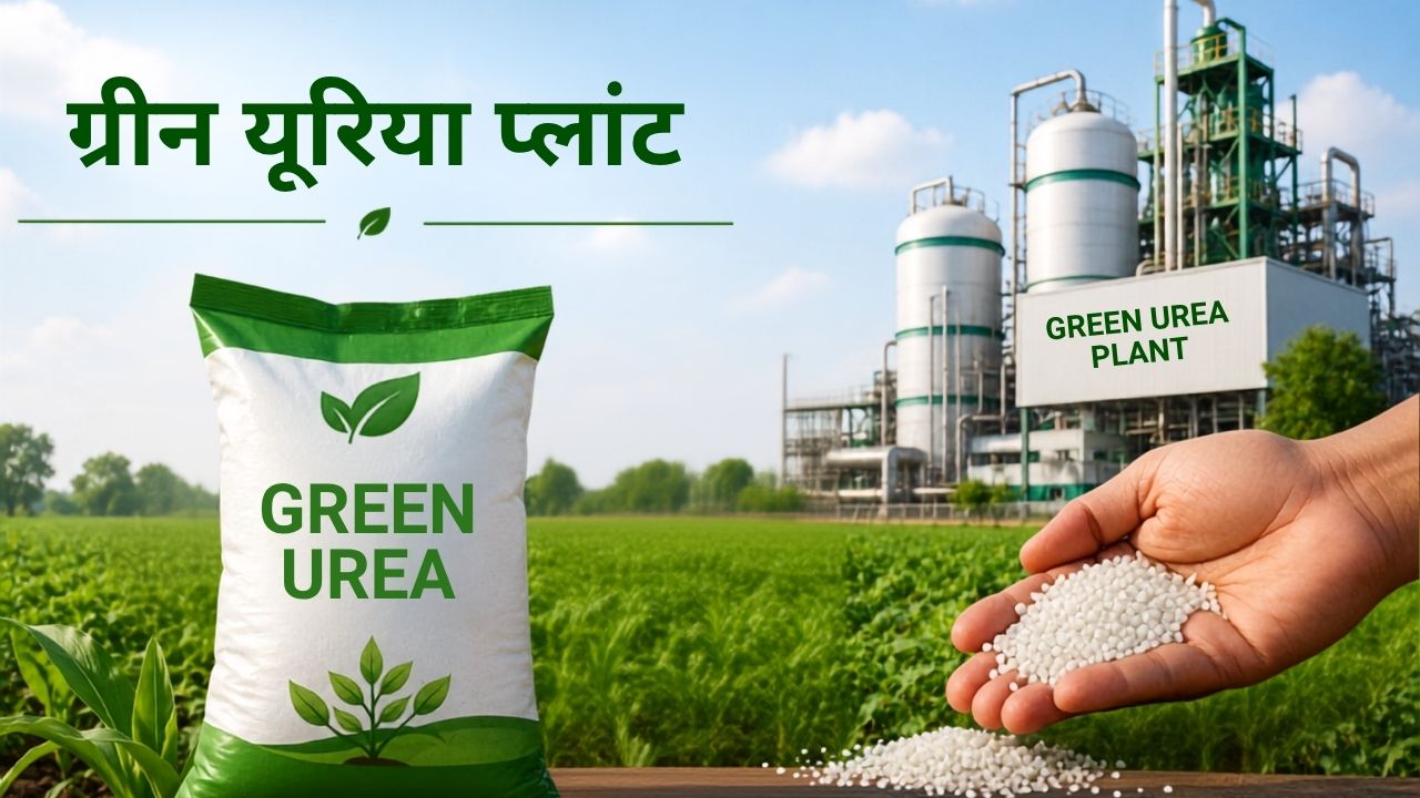 Fertiliser Ministry Prepares Green Urea Plants Roadmap For Eco Friendly Fertilizer Plans A Pilot Plant In Andhra Pradesh