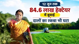 सुस्त पड़ी खरीफ बुवाई, रकबे में 3.9 फीसदी गिरावट.. जानें धान, दलहन और मोटे अनाज का हाल सुस्त पड़ी खरीफ बुवाई, रकबे में 3.9 फीसदी गिरावट.. जानें धान, दलहन और मोटे अनाज का हाल