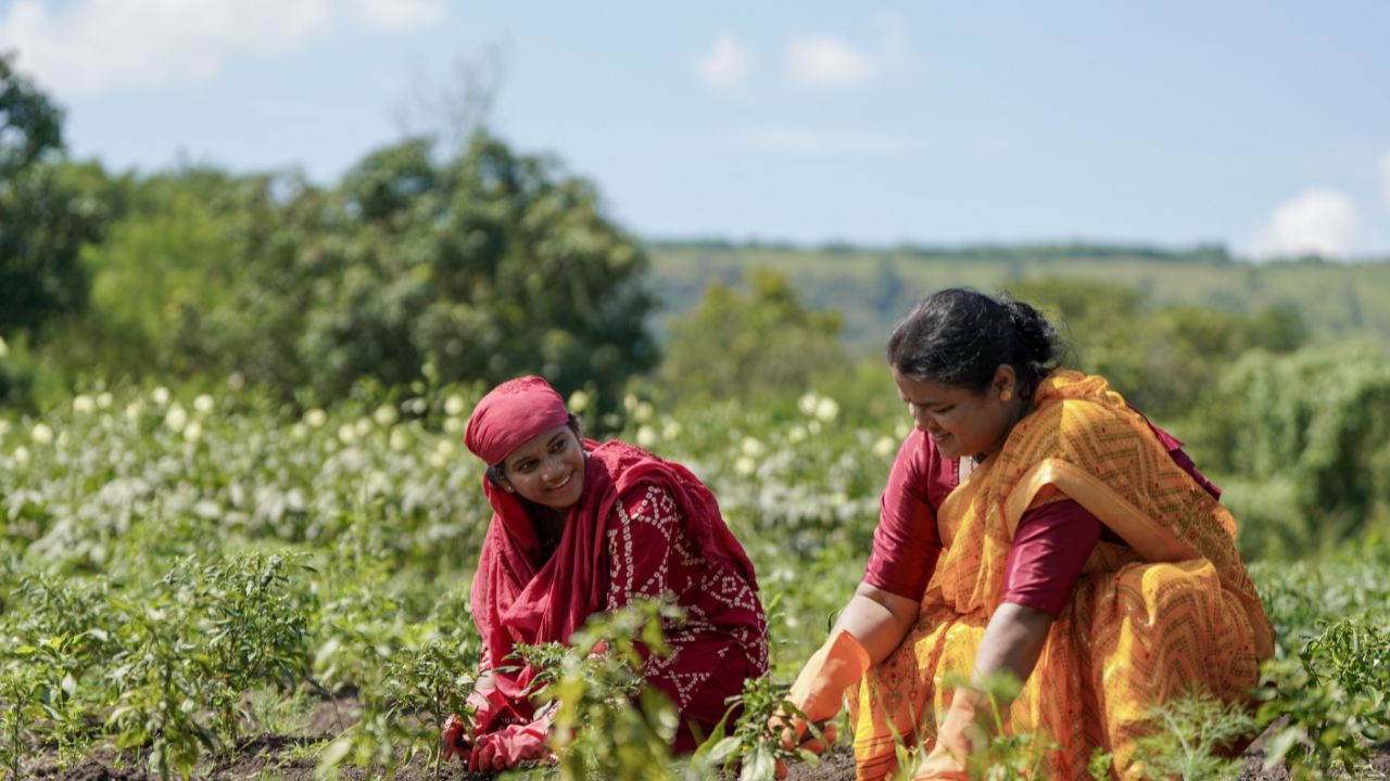 Gujarat Receives 82 Percent Less Rainfall Than Normal Slowing Kharif Sowing Pace Acreage Declines By 62 Percent