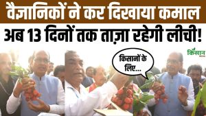 लीची किसानों के लिए बड़ी खुशखबरी! नई तकनीक से 13 दिनों तक ताजा रहेगी Litchi लीची किसानों के लिए बड़ी खुशखबरी! नई तकनीक से 13 दिनों तक ताजा रहेगी Litchi