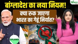 बांग्लादेश के नए नियमों से भारतीय गेहूं निर्यात संकट में, कीमतों में गिरावट की आशंका, किसानों की चिंता बढ़ी बांग्लादेश के नए नियमों से भारतीय गेहूं निर्यात संकट में, कीमतों में गिरावट की आशंका, किसानों की चिंता बढ़ी