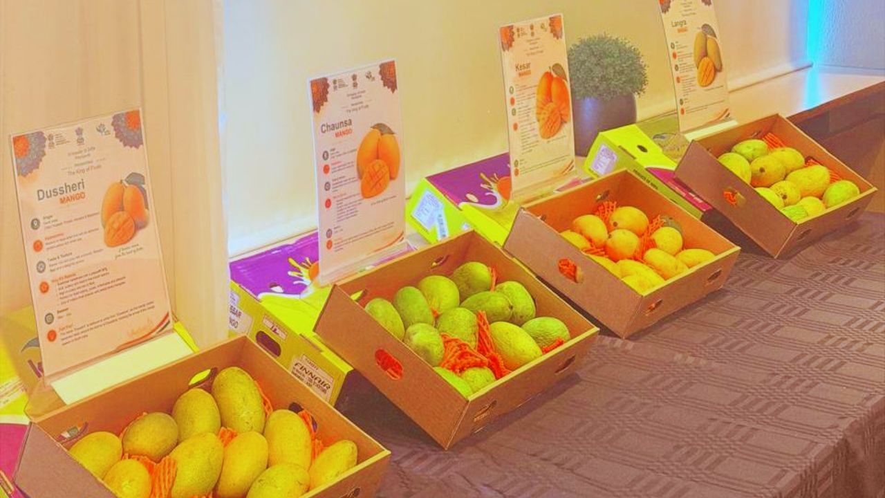 Indian Mango Promotional Event Held In Iceland For The First Time To Boost Mango Exports