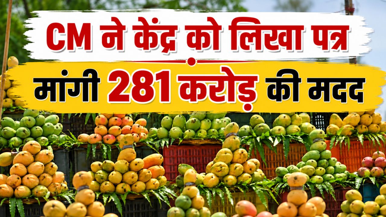 Andhra Pradesh Government Procurement Totapuri Mangoes Under Market Intervention Scheme