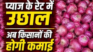 किसानों को राहत, लासलगांव मंडी में 2000 रुपये क्विंटल के पार पहुंचा प्याज.. अब रिटेल में बढ़ेंगी कीमतें किसानों को राहत, लासलगांव मंडी में 2000 रुपये क्विंटल के पार पहुंचा प्याज.. अब रिटेल में बढ़ेंगी कीमतें