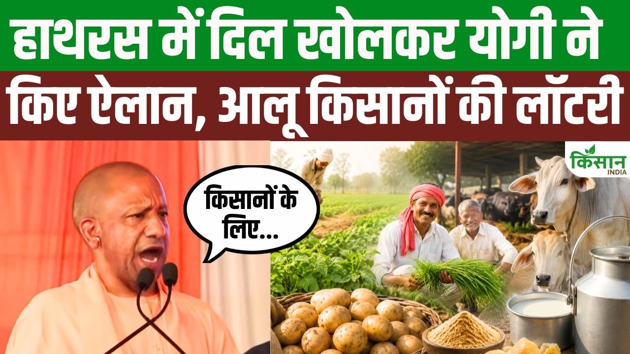 Cm Yogi Mega Announcement In Hathras A 548 Crore Gift Set Transform Fortunes Announcements Made Potato And Asafoetida Farmers