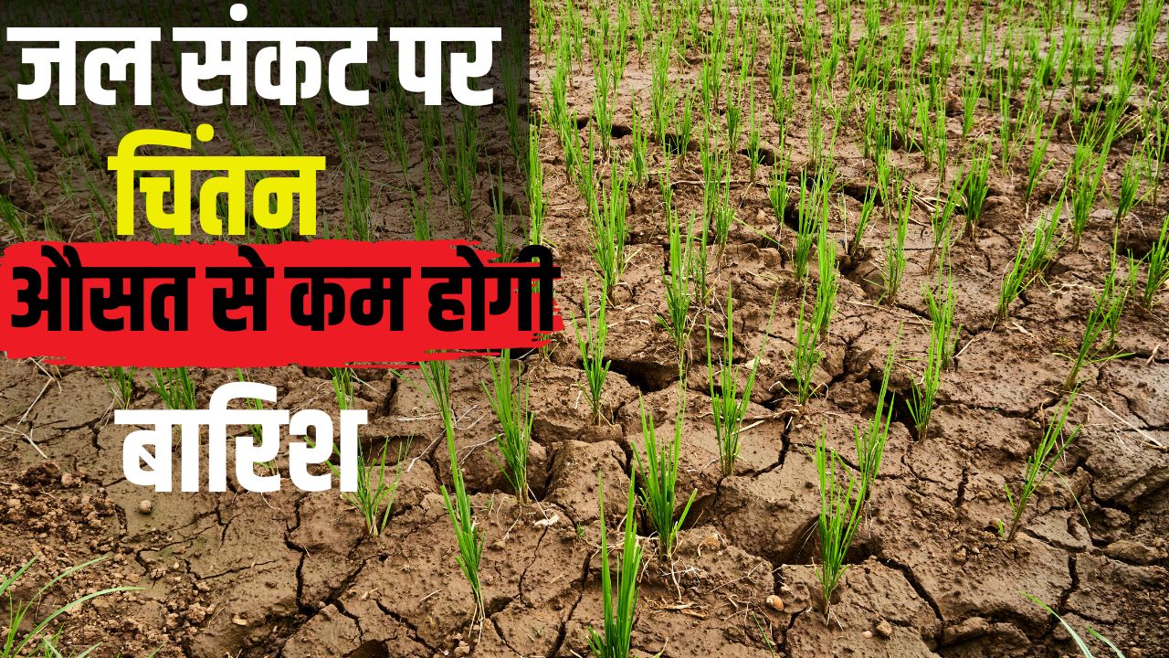 पंजाब में कमजोर मॉनसून की आशंका, वैज्ञानिकों ने जताई चिंता.. गहराएगा जल संकट