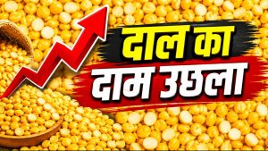 चना कीमतों में 9 फीसदी उछाल, मॉनसून-त्योहारी मौसम में खपत बढ़ने पर दाम और चढ़ेंगे