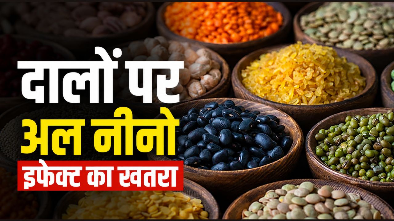 दालों के संकट की वजह बनेगा अल नीनो? कीमतों में उछाल और स्टॉक पर सरकार का आया बयान 