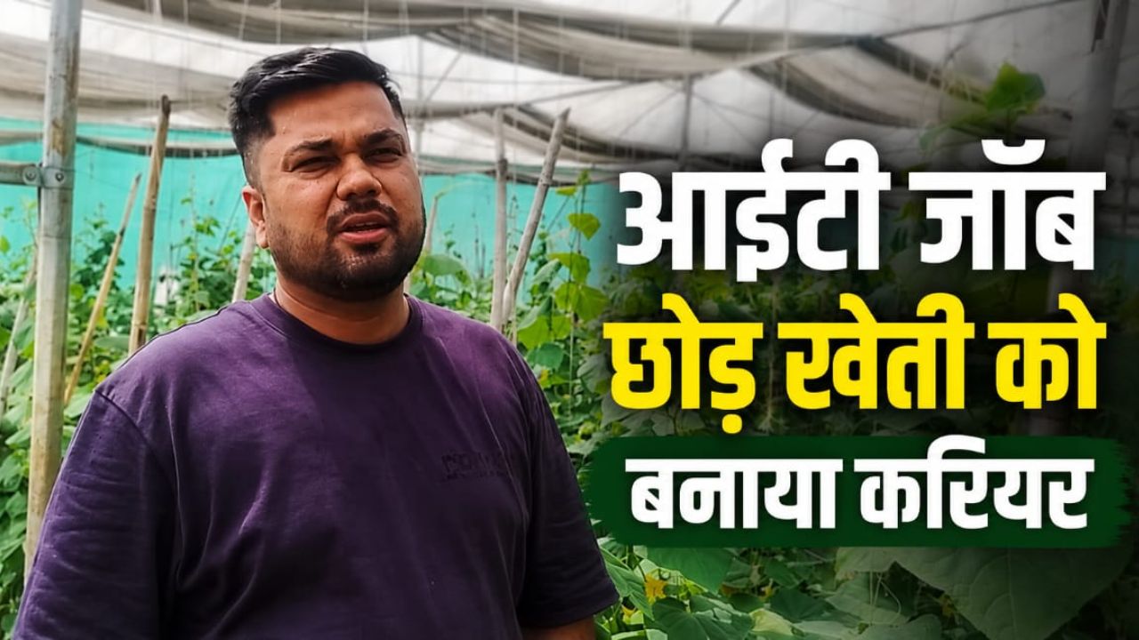 नेट हाउस फार्मिंग से हर सीजन 4 लाख मुनाफा ले रहे शिवेंद्र, ऑफ सीजन फसलों ने बनाया करोड़पति