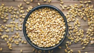 लाखों लोगों पर भुखमरी का संकट बढ़ा, यूएन ने अल नीनो स्थितियों से खाद्य असुरक्षा पर खतरा बताया लाखों लोगों पर भुखमरी का संकट बढ़ा, यूएन ने अल नीनो स्थितियों से खाद्य असुरक्षा पर खतरा बताया