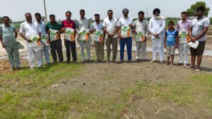 हाईब्रिड के नाम पर बेचा गया धान बीज घटिया निकला, कई एकड़ में अंकुरण नहीं होने पर किसानों का हंगामा 