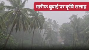 मॉनसून का कहर.. कई इलाकों में भूस्खलन और पेड़ गिरे, फसल बुवाई के लिए किसानों को एडवाइजरी   