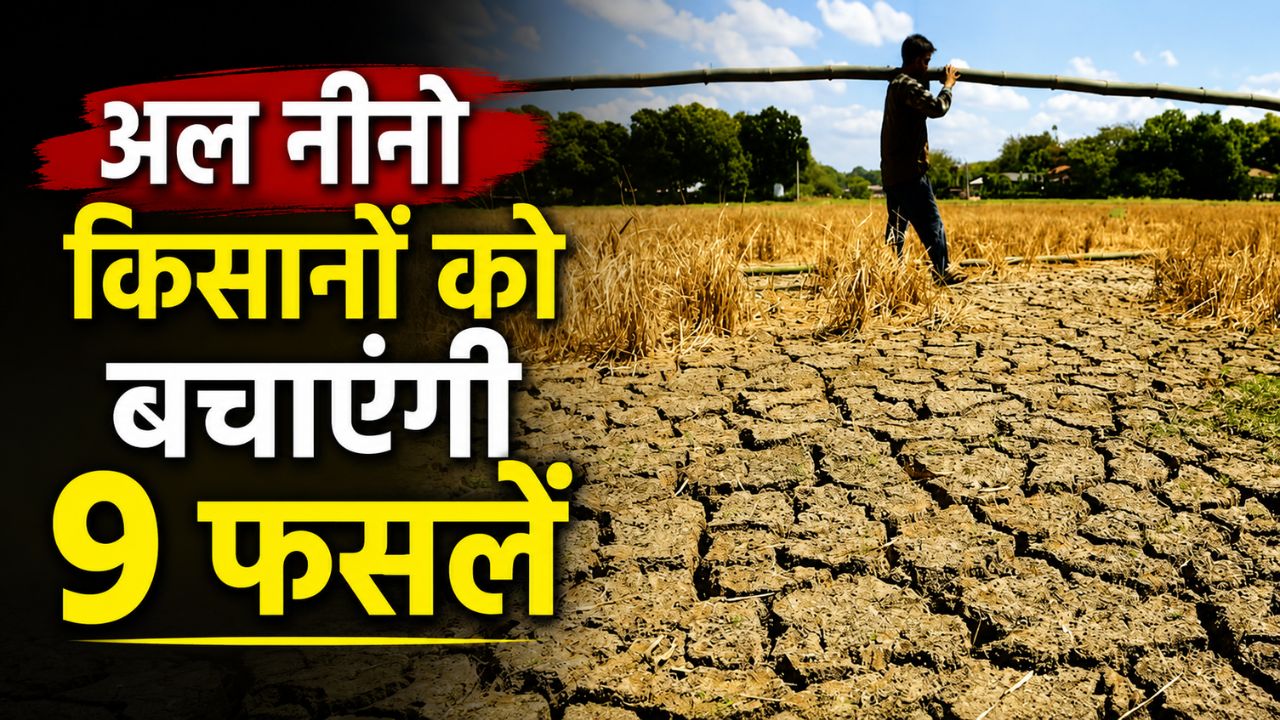 9 Crops Recommended For Drought Hit Areas Chhattisgarh Govt Providing Seeds And Financial Aid To Farmers To Help Them Tide Over El Nino Crisis