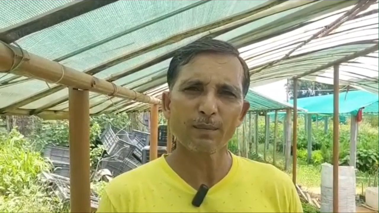 Left Bank Job And Started Nursery Business Farmer Ashok Mandal From Dhanbad Jharkhand Supplying All Kinds Of Plants Across Country