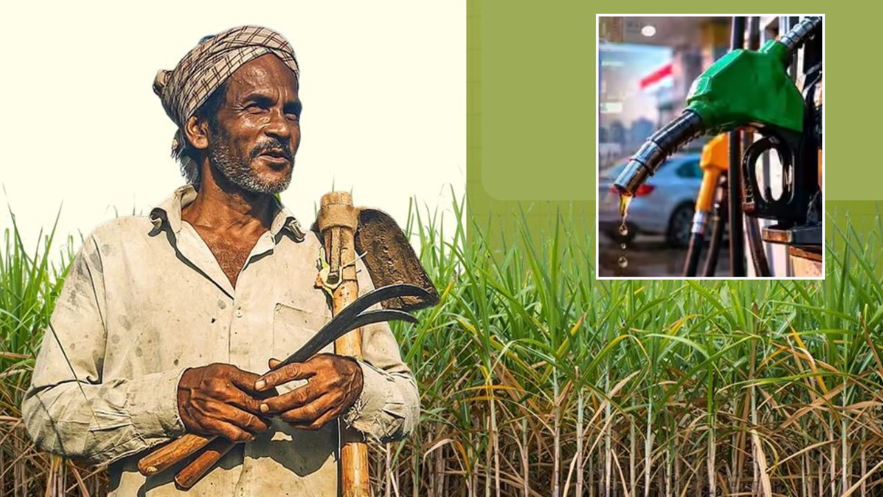 West Bengal Relaxed Restrictions On Sale Of Diesel To Farmers And Tea Plantations