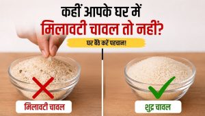 कहीं आप भी तो नहीं खा रहे मिलावटी चावल? घर बैठे मिनटों में करें पहचान, जानें आसान तरीका कहीं आप भी तो नहीं खा रहे मिलावटी चावल? घर बैठे मिनटों में करें पहचान, जानें आसान तरीका