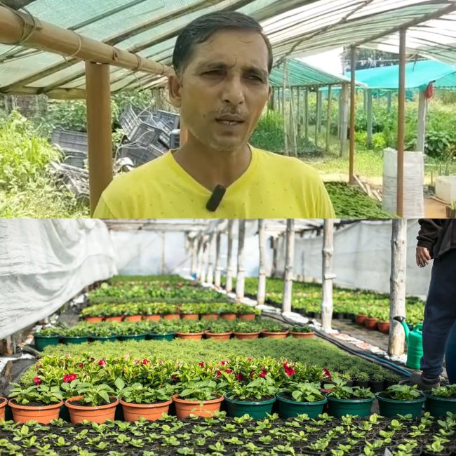 nursery business