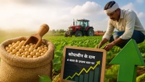 सोयाबीन की खेती की ओर बढ़ता रुझान, 10 फीसदी तक बढ़ सकता है रकबा, MSP से ऊपर पहुंचे दाम सोयाबीन की खेती की ओर बढ़ता रुझान, 10 फीसदी तक बढ़ सकता है रकबा, MSP से ऊपर पहुंचे दाम