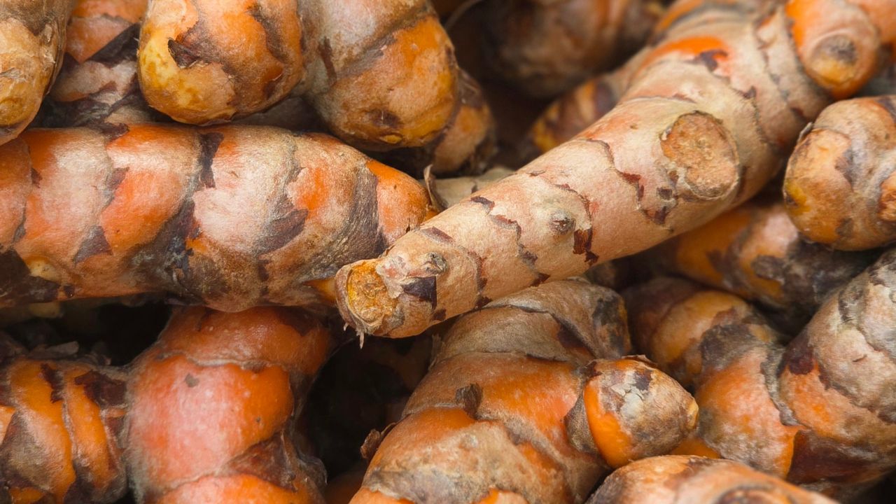 Icar Iisr Pragati Turmeric Variety Helped Farmers Earn Rupees 354 Crore Benefit